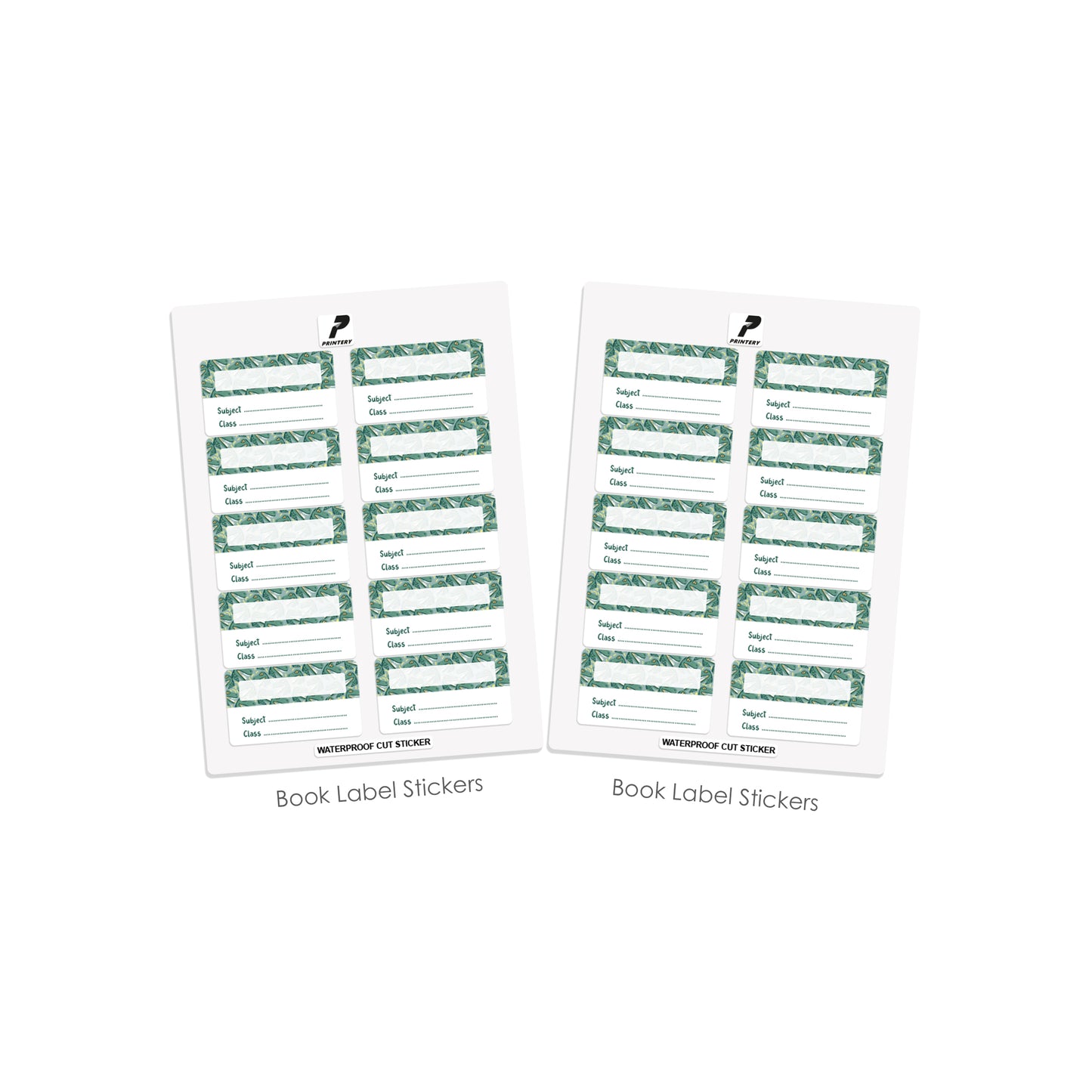 Ready to Buy School Label Pack D084 - Dinosaur