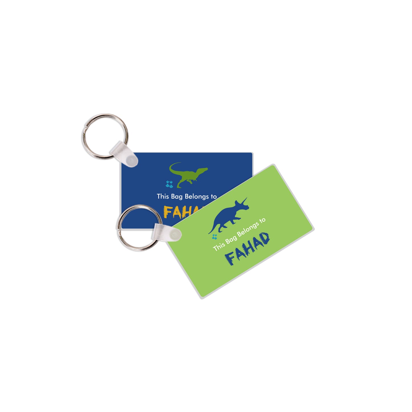 Dinosaur Travel Tags D02
