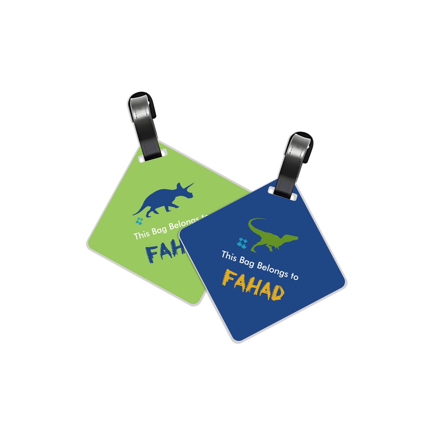 Dinosaur Travel Tags D02